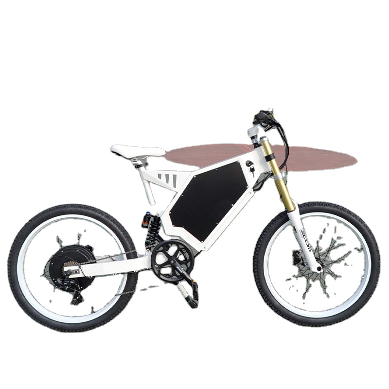 Mountain Biking Europe - 改造直販工場ヨーロッパ倉庫大出力ファットマウンテンバイク3000w電動自転車ハブモーター電動スクーター大人用