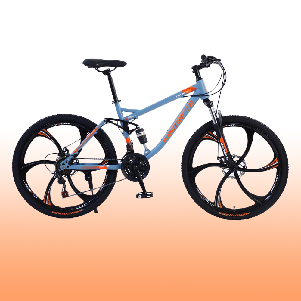 OEMカスタマイズ26/27.5/29インチディスクブレーキ - Mountain Biking Europe のレビューと価格